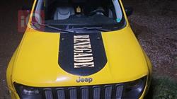 جيب رينيجيد